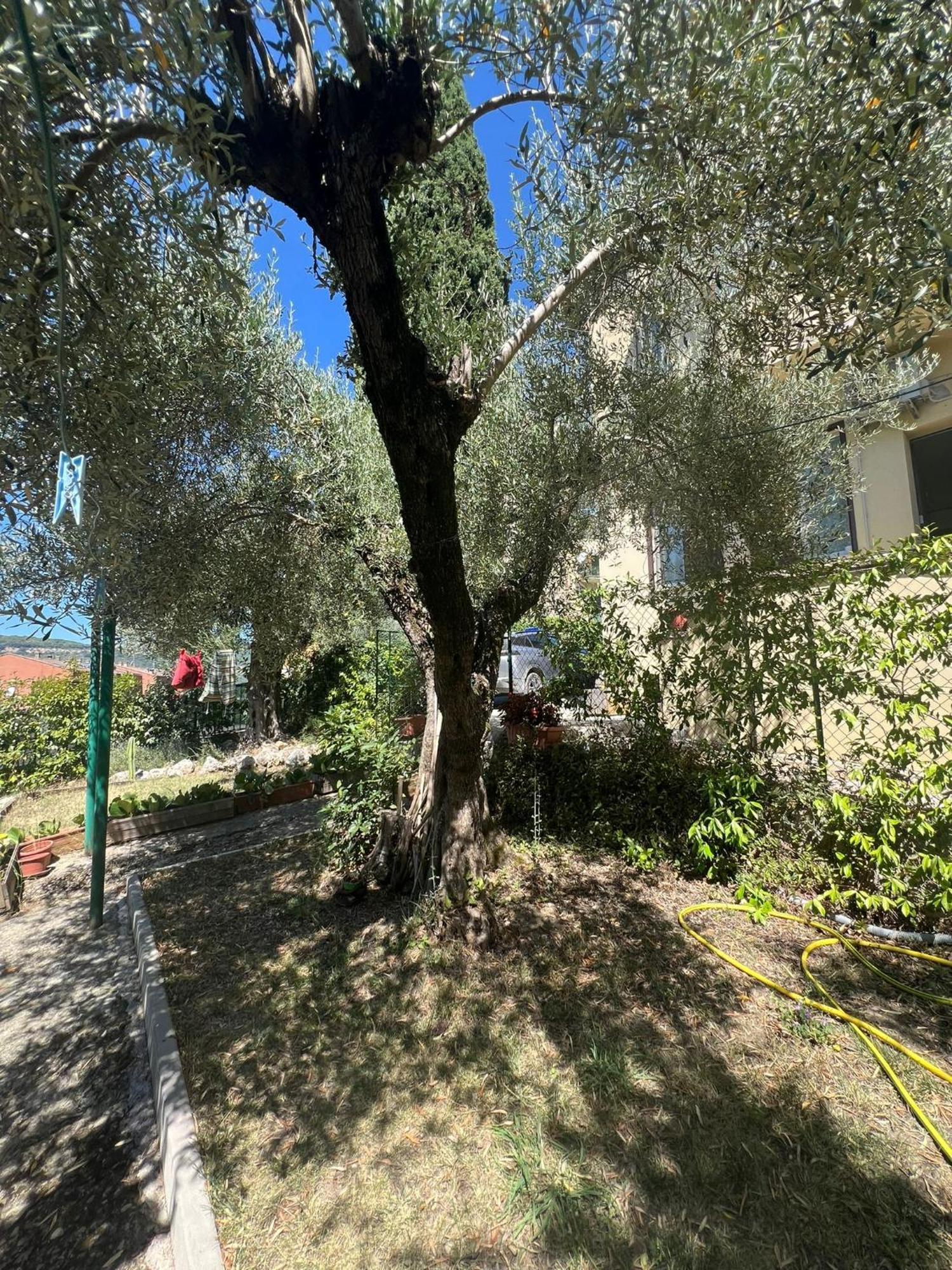 La Locanda Delle Idee Santa Lucia Pérouse Extérieur photo